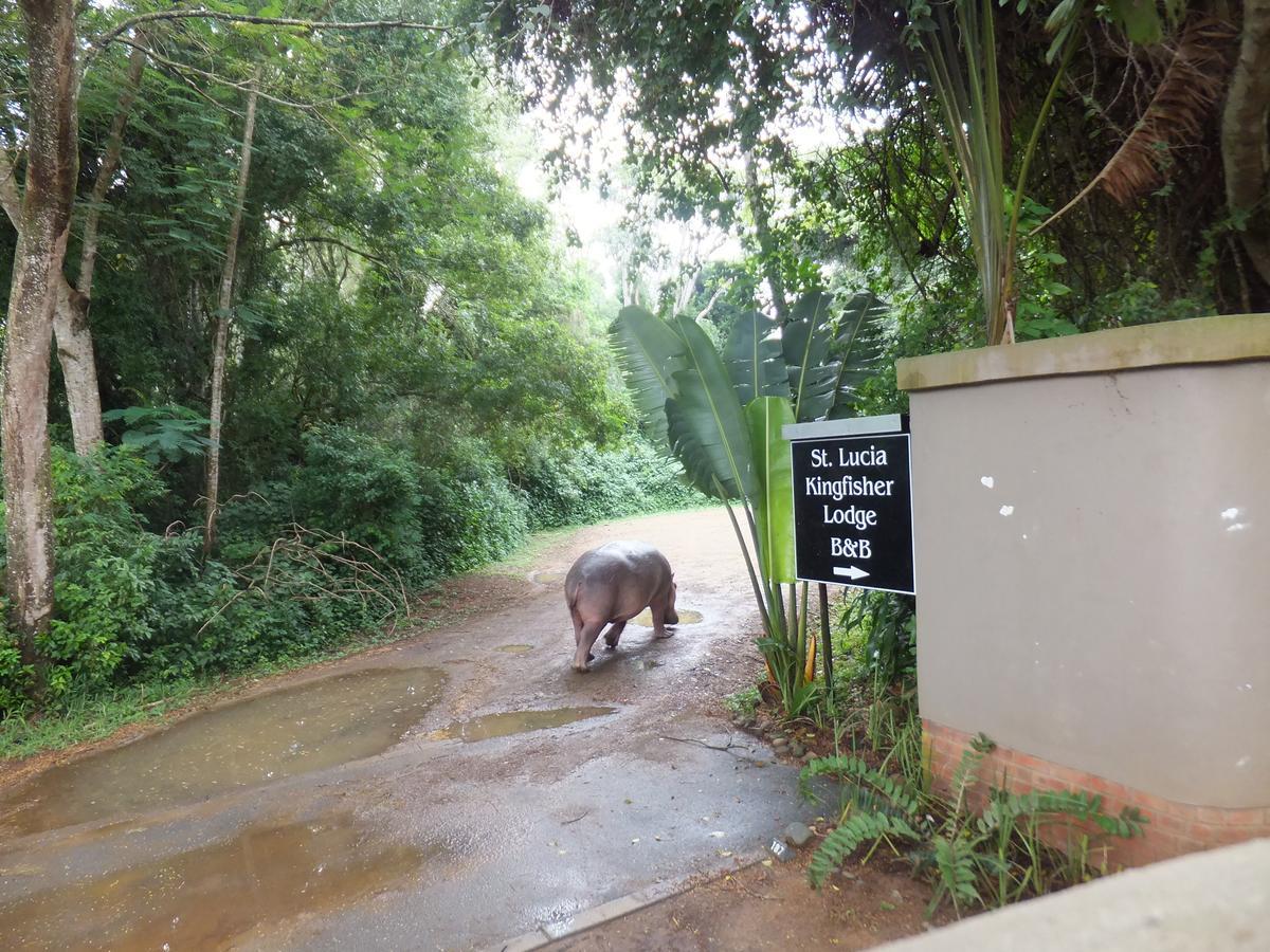 St Lucia Kingfisher Lodge ภายนอก รูปภาพ